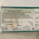 (주)키시 | 히사이시조 도쿄돔 지브리 필름 콘서트 파이널 감상 후기