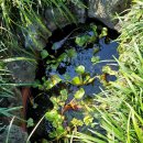 다불촌 독채민박 이미지