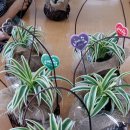 행복재활원 이미지