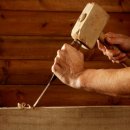 소년과 나무 이미지