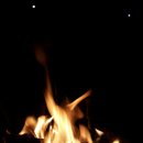 숲속의 샘물 캠핑장 이미지