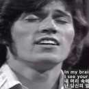 To love somebody가사해석/Bee Gees 이미지