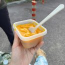 초이스병원 | 수원 초이스병원 발목 인대 봉합술 수술후기 (+발등 골절)