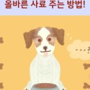 올바른 동물병원 이미지