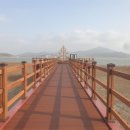 인천 강화 석모도 칠면초 해안 산책로 10일부터 개방 이미지