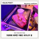 번역갱 | 오사카 1일차 저녁 우메다 야키니쿠 갱, 기대와 현실 사이 솔직 후기