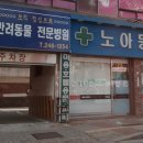 노아동물병원 이미지