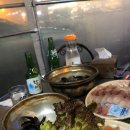 술박사포차