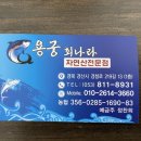 용궁회나라 이미지