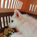 밥이보약 이미지