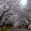 장군로-1 이미지