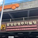중앙로48번길 | 서귀포 맛집 제주 올레시장먹거리 포장으로 추천하는 메밀꽃치킨