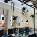 둔포도서관 이미지