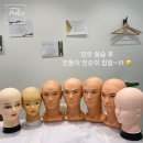 필릭스스칼프 Daum카페
