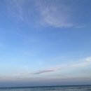 송정산오징어