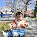 반월공원 이미지