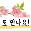에스에스피 이미지