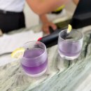 더라임호텔 | 보홀 라임 리조트 시설 장점 단점 솔직 후기