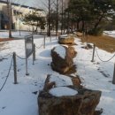 백재현 인류의초상 이미지