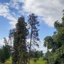 Kelowna Golf and Country Club 이미지