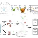 이온메디칼 이미지