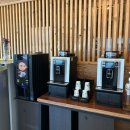 온누리쭈꾸미천안성정점 | [천안] 성정동 오래된 맛집! 크림새우와 도토리전을 곁들인, 온누리 쭈꾸미