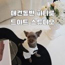 목련로 | 광주 애견동반 파티룸 드아트 스튜디오 브라이덜샤워 내돈내산 후기