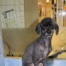 마린시티 종합동물병원 이미지