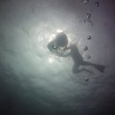 숨비소리 이미지