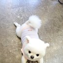 리즈헤어샾