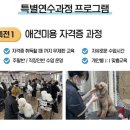 미용농장 이미지