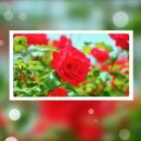 계산노인문화센터 이미지