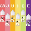 88전자 이미지