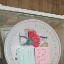 국제키즈태권도 이미지