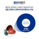 아이건강 | 종근당 건강 아이클리어 눈 영양제 솔직 후기