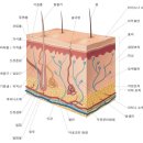 주희스킨케어 - 청주시 서원구 모충로 31 | 주희스킨케어