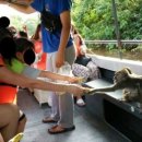 동막골식당 이미지