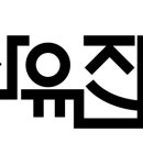 십일번가(주) 이미지
