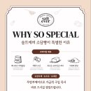 솔트에버