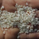 달려라찜닭 이미지