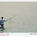 도나의숲