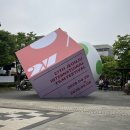 [월간 통조림] 선을 넘나들 가능성에 대하여 - 전주국제영화제 후기