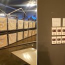 애견호텔1번가 이미지