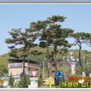 한강남 자전거길 9구간 이미지