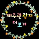 투썸플레이스곽지과물해변점 이미지