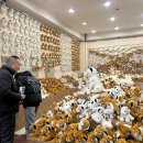 인형의 거리(호랑이 이미지