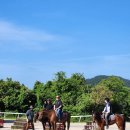 푸른마을 농수산 이미지