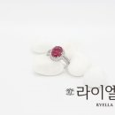 도매샵 이미지
