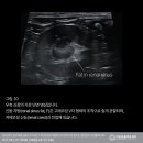 24시 리본동물영상센터 이미지