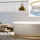 스파